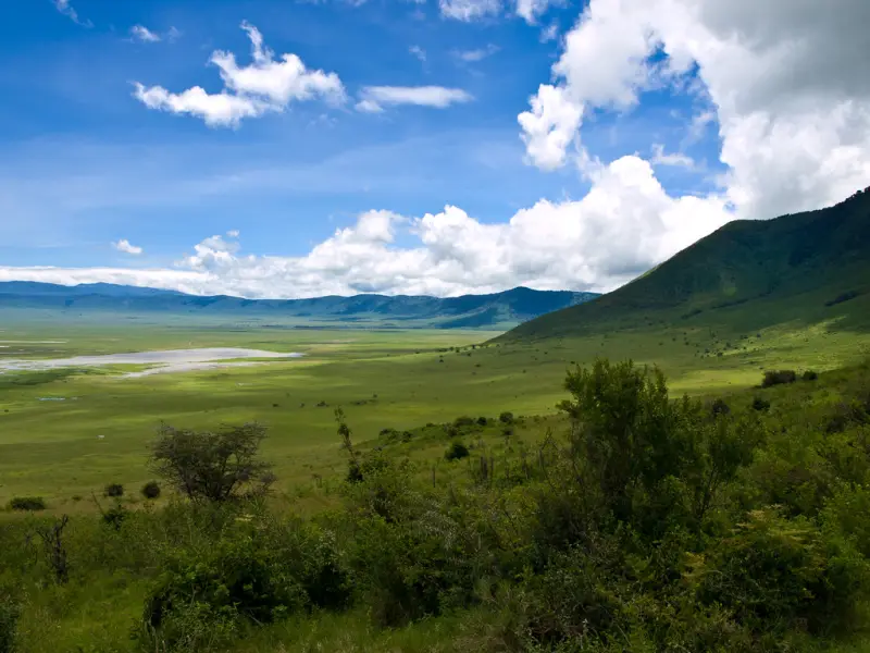 Green floor and rim of the Ngorongoro Crater under a bright sky