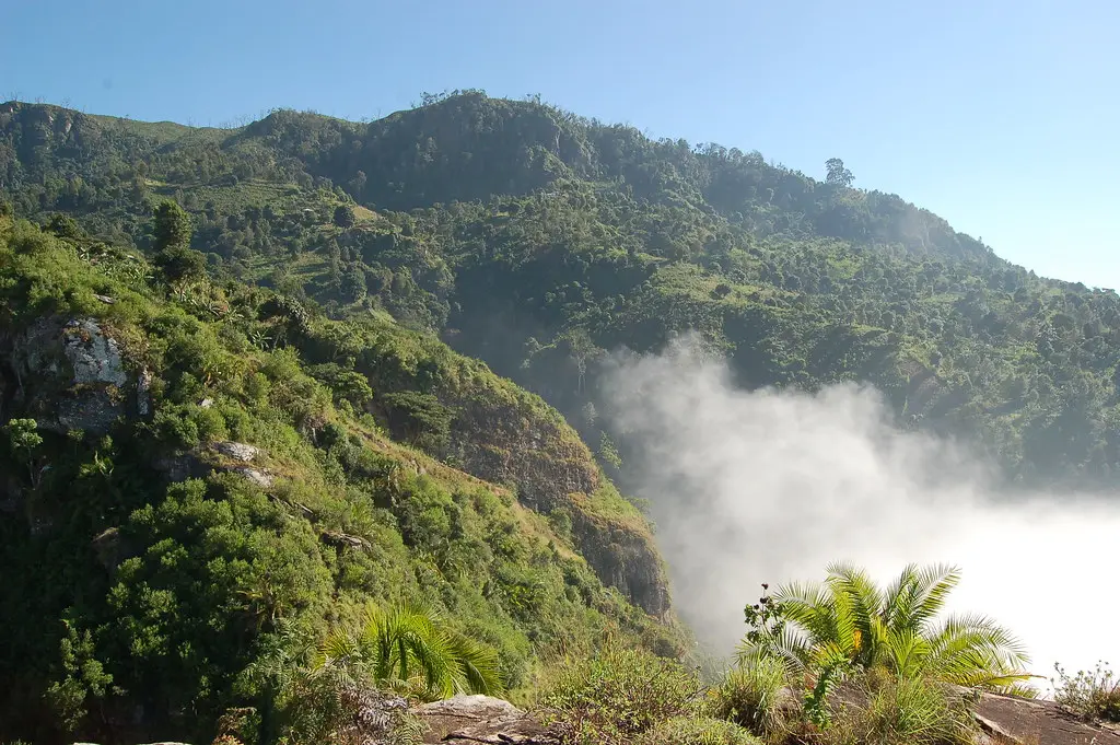 Forested ridges of the Usambara Mountains with mist rising from a valley