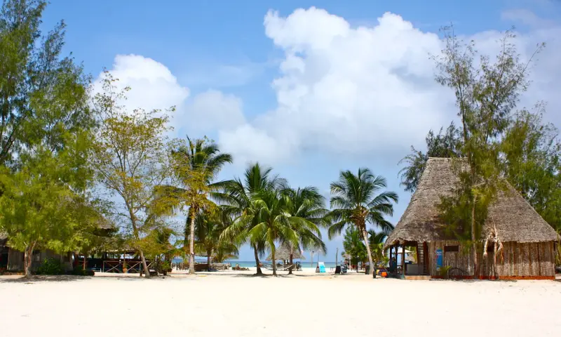 A thatched beach villa among palms on white sand