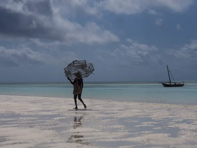 A fisherman carrying a woven trap across the shallows under a grey sky